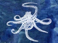 Cephalopod II Fine Art Print