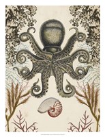 Antiquarian Menagerie - Octopus Fine Art Print