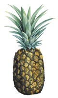 Watercolor Pineapple I Fine Art Print