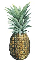Watercolor Pineapple II Fine Art Print
