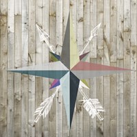 Young Explorer II Framed Print