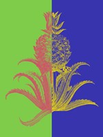 Pineapple Mix I Framed Print
