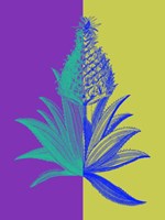 Pineapple Mix II Framed Print