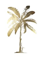Gold Foil Tropical Palm II- Metallic Foil Framed Print