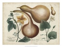 Exotic Weinmann Botanical I Fine Art Print
