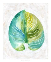 Ocean Side Palms  I Framed Print