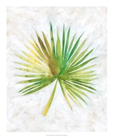 Ocean Side Palms  II Framed Print