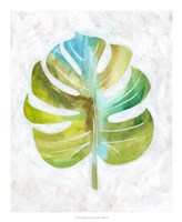 Ocean Side Palms  III Framed Print