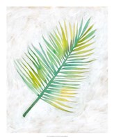 Ocean Side Palms  IV Framed Print