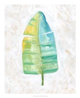 Ocean Side Palms  V Fine Art Print