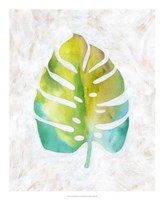 Ocean Side Palms  VI Framed Print