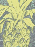 Kona Pineapple I Fine Art Print