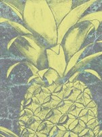 Kona Pineapple II Framed Print