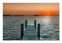 Morning Glory Fine Art Print