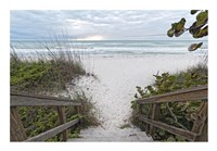 Let's Hit the Waves! Fine Art Print