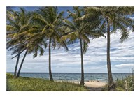 Beach Palms Fine Art Print