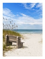 Just Sit Fine Art Print