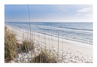 Just the Spot Fine Art Print