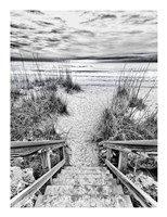 Follow the Steps Fine Art Print