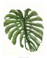 Tropical Breeze Leaves I Fine Art Print