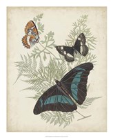 Butterflies & Ferns II Fine Art Print