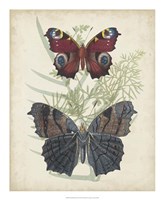 Butterflies & Ferns III Fine Art Print