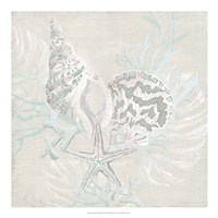 Weathered Shell Sketch II Framed Print