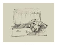 Stowaway II Fine Art Print