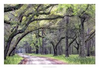 Dirt Road I Fine Art Print