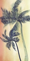 Vintage Palms I Fine Art Print