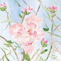 Be Confident and Your Beauty Will Bring Forth Fine Art Print