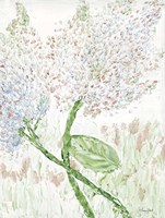 Sometimes the Quietest One can be the One Fine Art Print