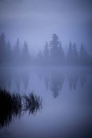 Foggy Reflection Fine Art Print
