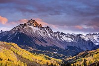 Mountain Foliage 02 Fine Art Print