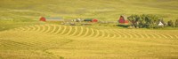 Farm Panorama Fine Art Print