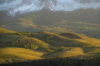 Mountain Base Fine Art Print