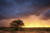 Stormy Sunset Fine Art Print