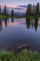 Evergreen Reflections Fine Art Print