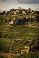 Tuscany Vineyard 02 Fine Art Print