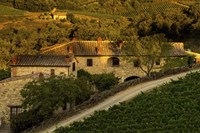 Country Road Fine Art Print