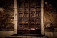 Brown Door Fine Art Print