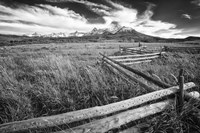 Country Fence Fine Art Print