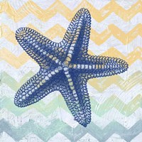 Chevron Star Fish Fine Art Print