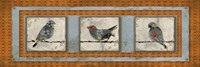 Three Birds Fine Art Print