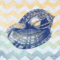 Sea Creatures -Shell II Fine Art Print