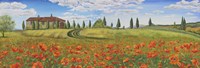 Tuscan Poppies Fine Art Print