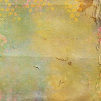 Color Changed Card Fine Art Print