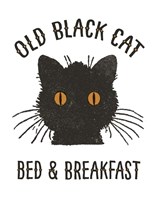 Old Black Cat Fine Art Print