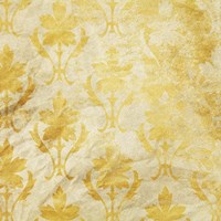 Old Yellow Plant Fine Art Print