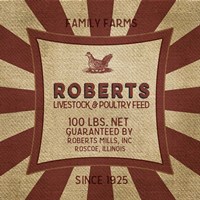 Roberts Starburst Feed Sack Fine Art Print